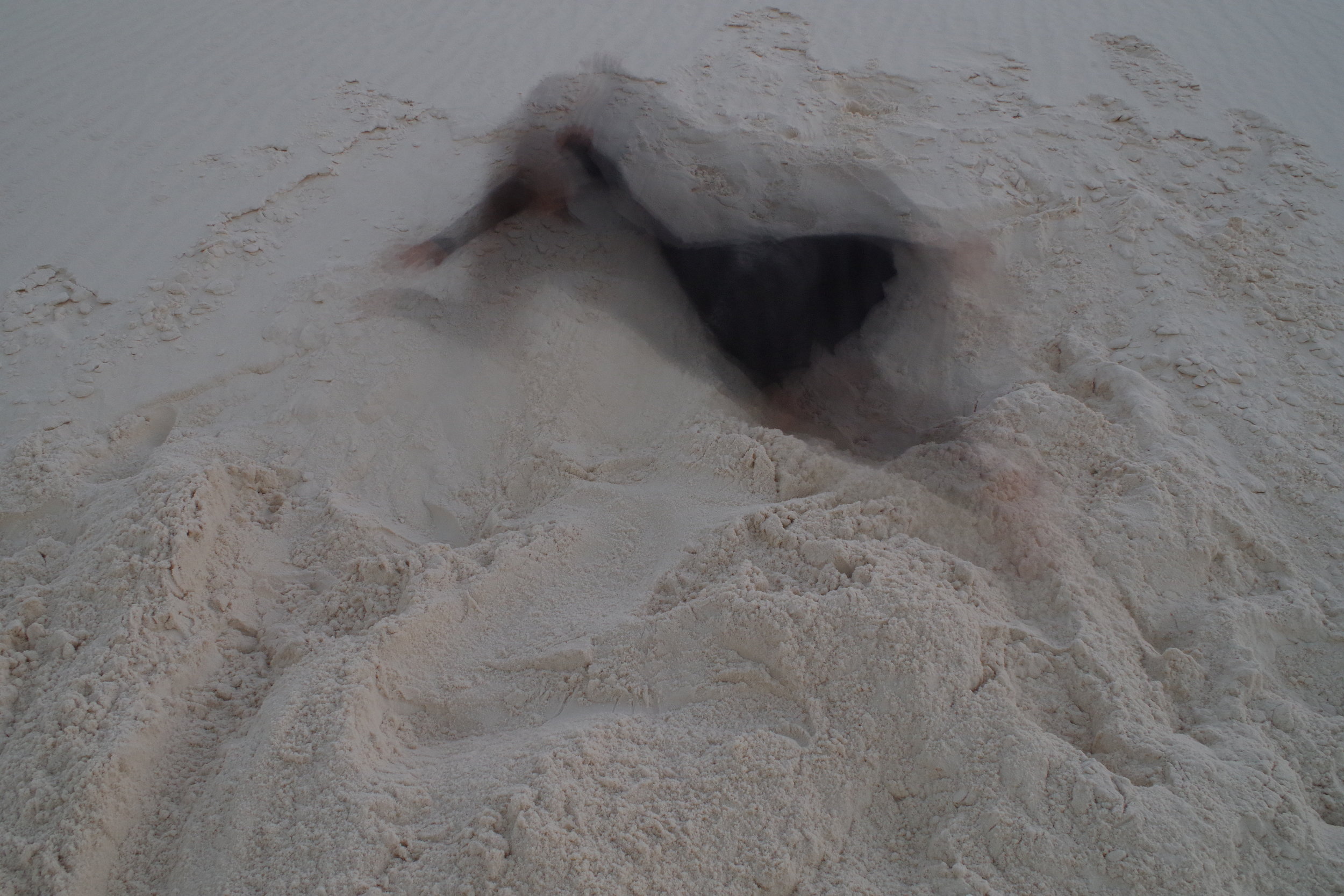Into Dust