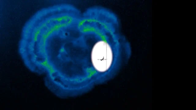 Entangled Multiplicities