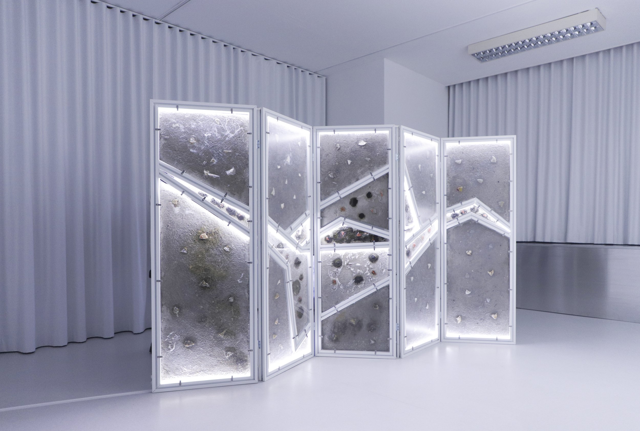 zupanov-OSMOZA-RADIOTHROPIC FUNGARIUM-17.JPG