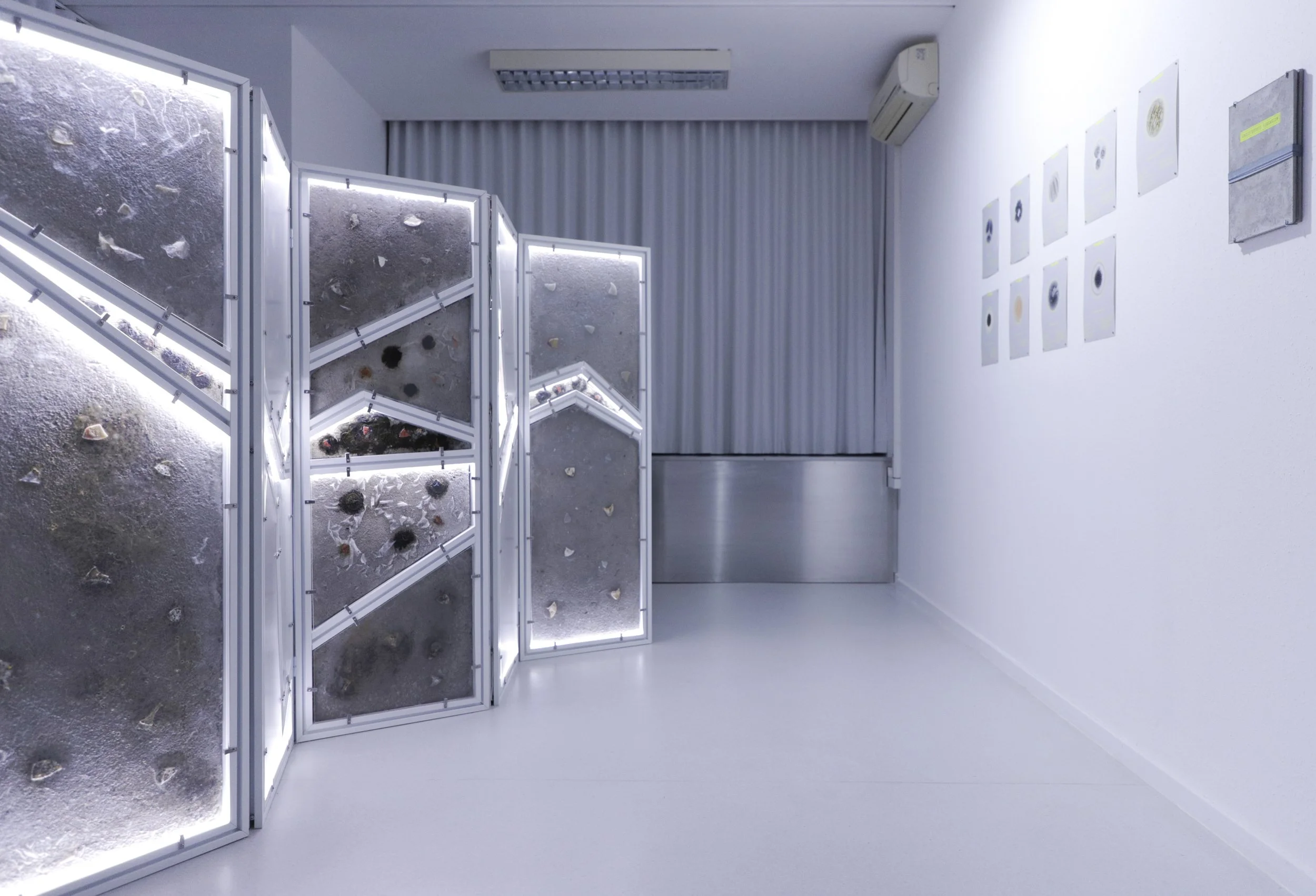 zupanov-OSMOZA-RADIOTHROPIC FUNGARIUM-6.JPG