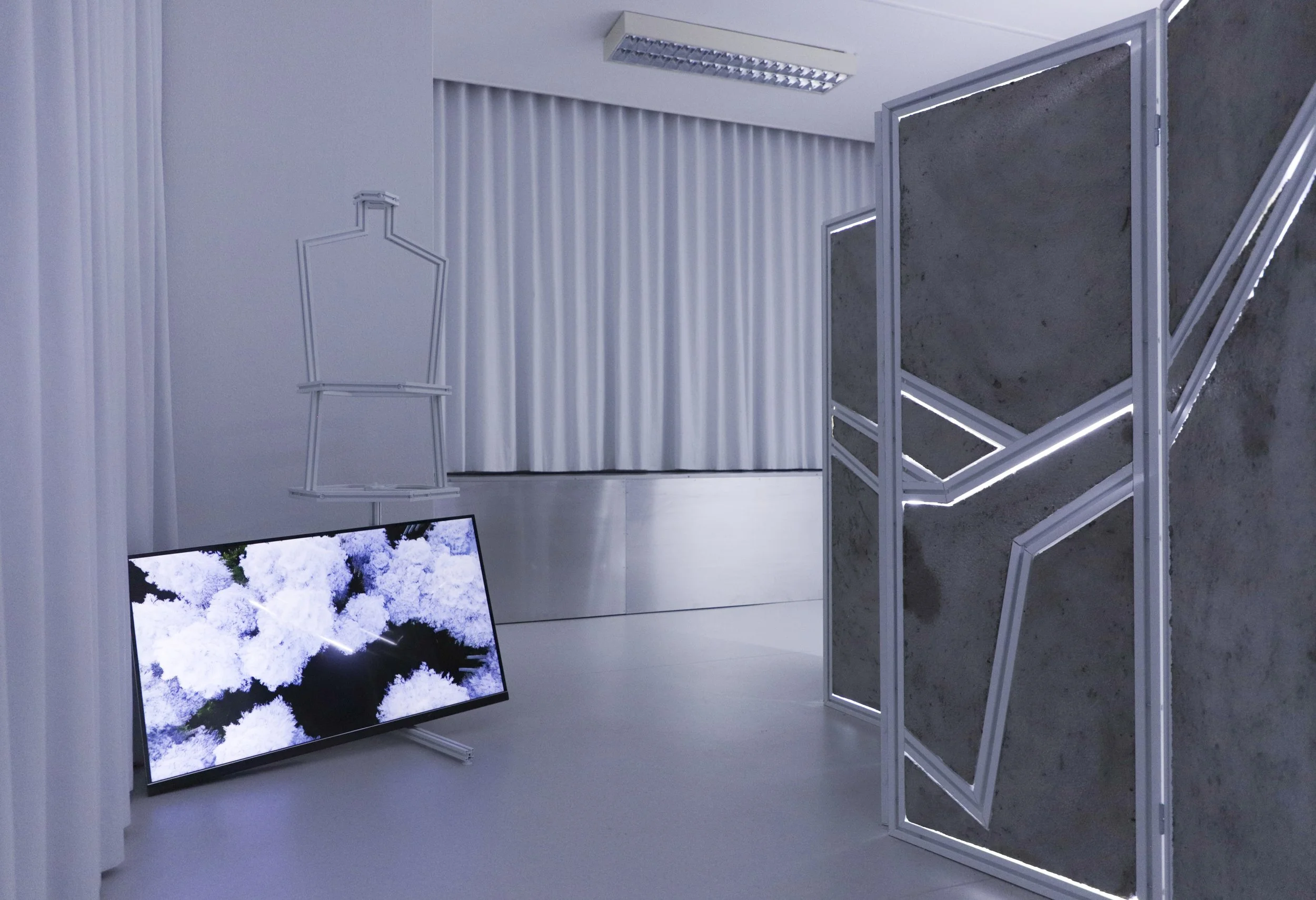 zupanov-OSMOZA-RADIOTHROPIC FUNGARIUM-15.JPG