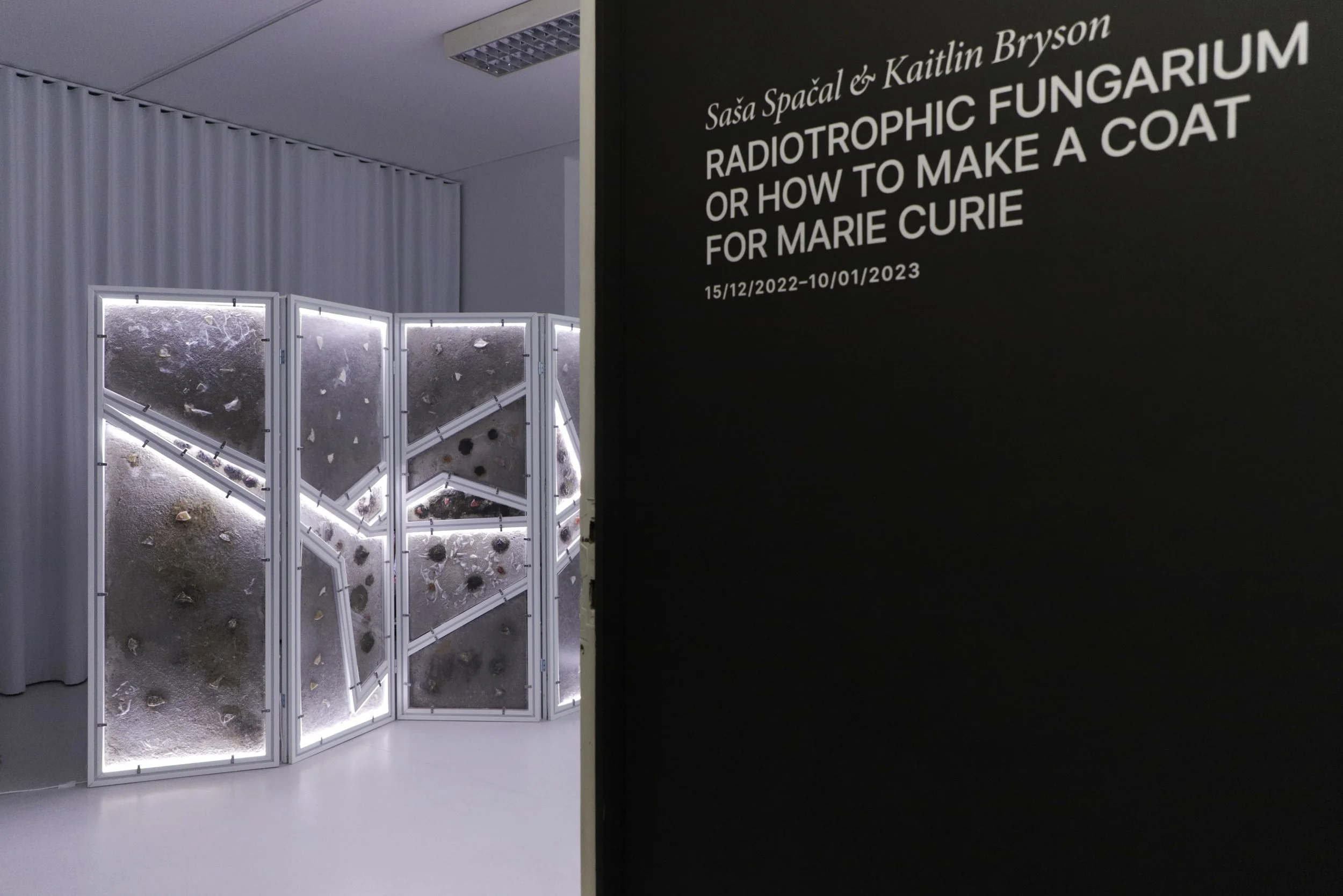 zupanov-OSMOZA-RADIOTHROPIC FUNGARIUM-5.JPG