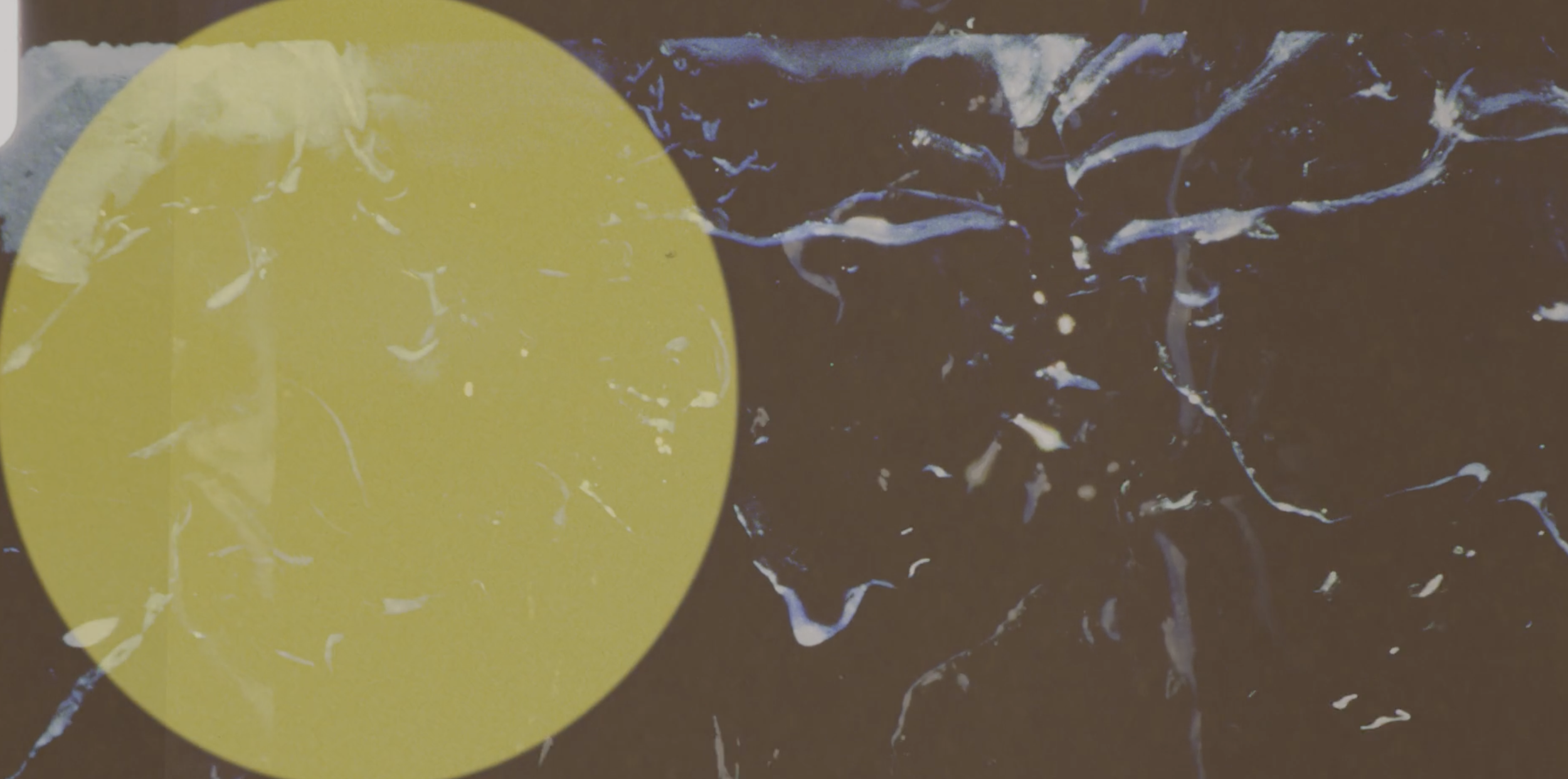 Screenshot 2026-02-02 at 10.16.32 AM.png