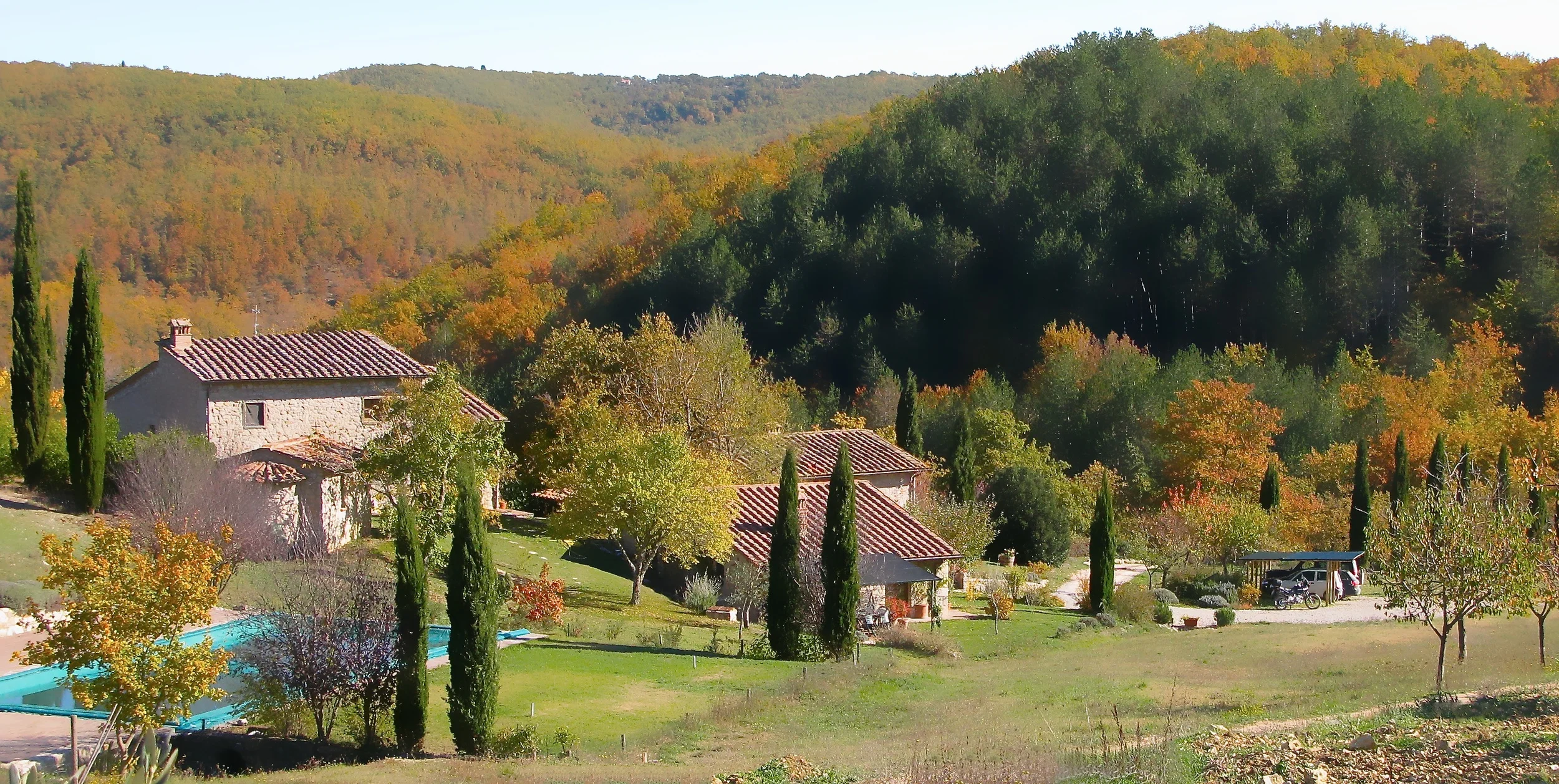 Pornanino Header (1).jpg