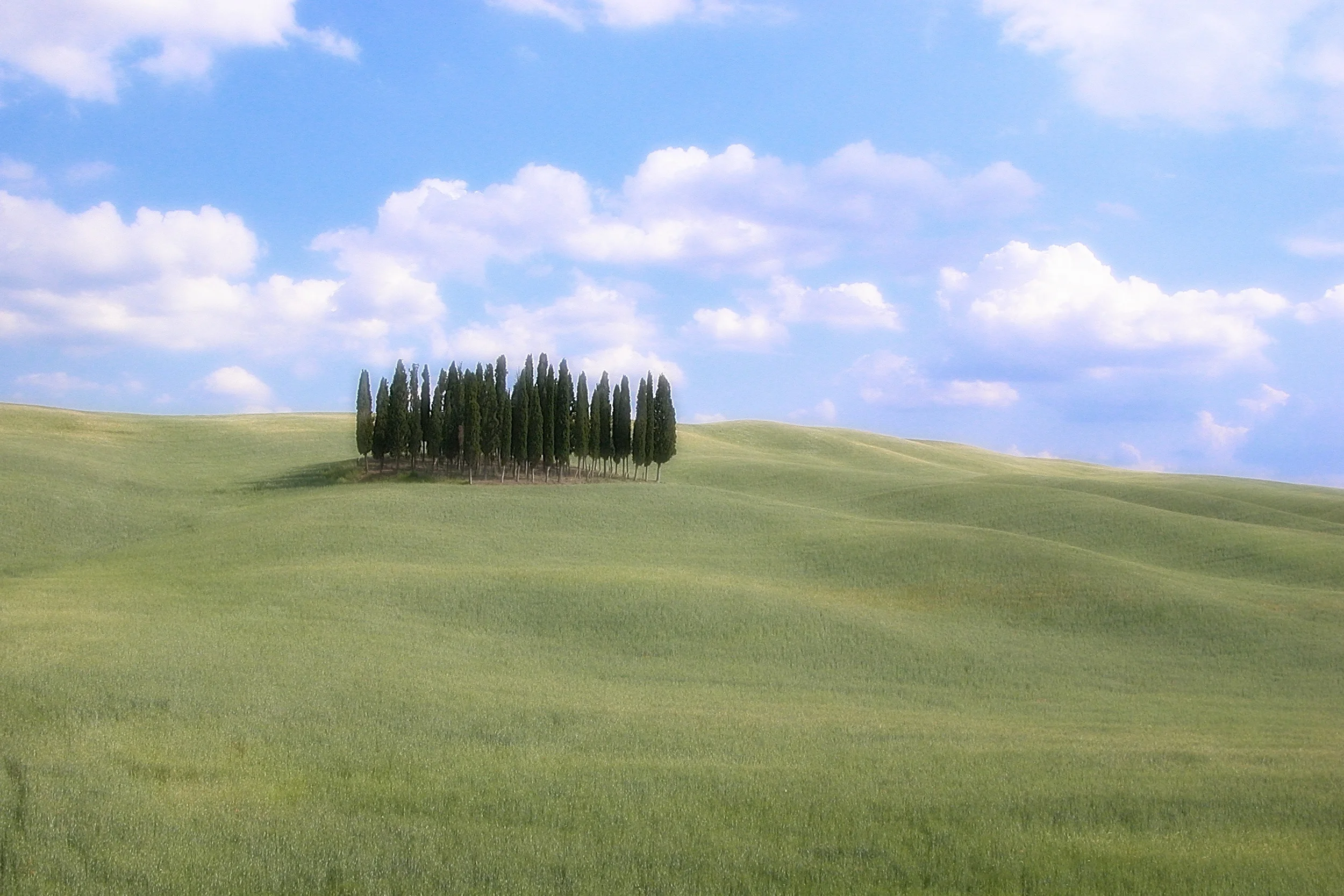 Road to Pienza.jpg