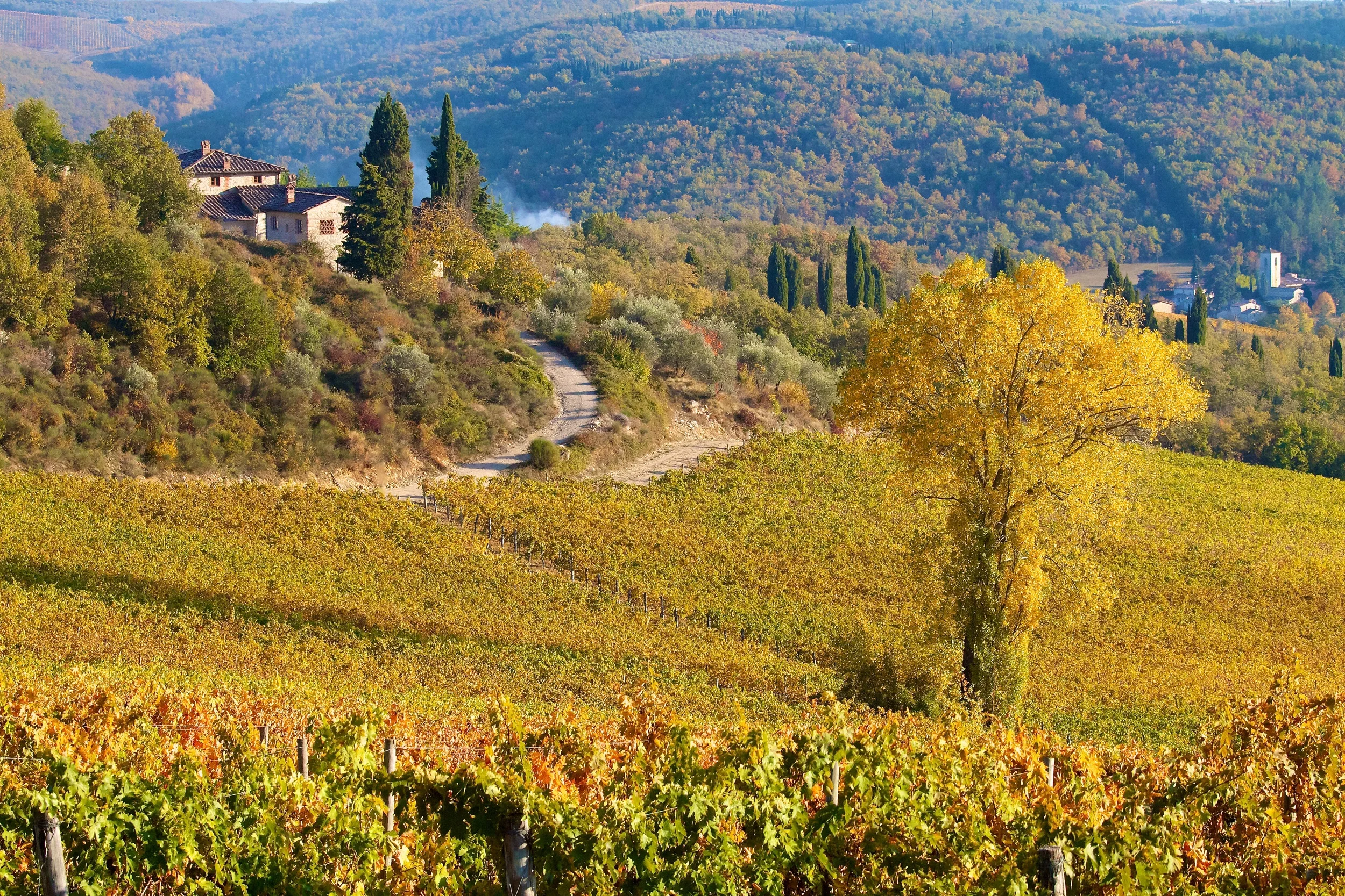 Chianti Autumn (2).jpg