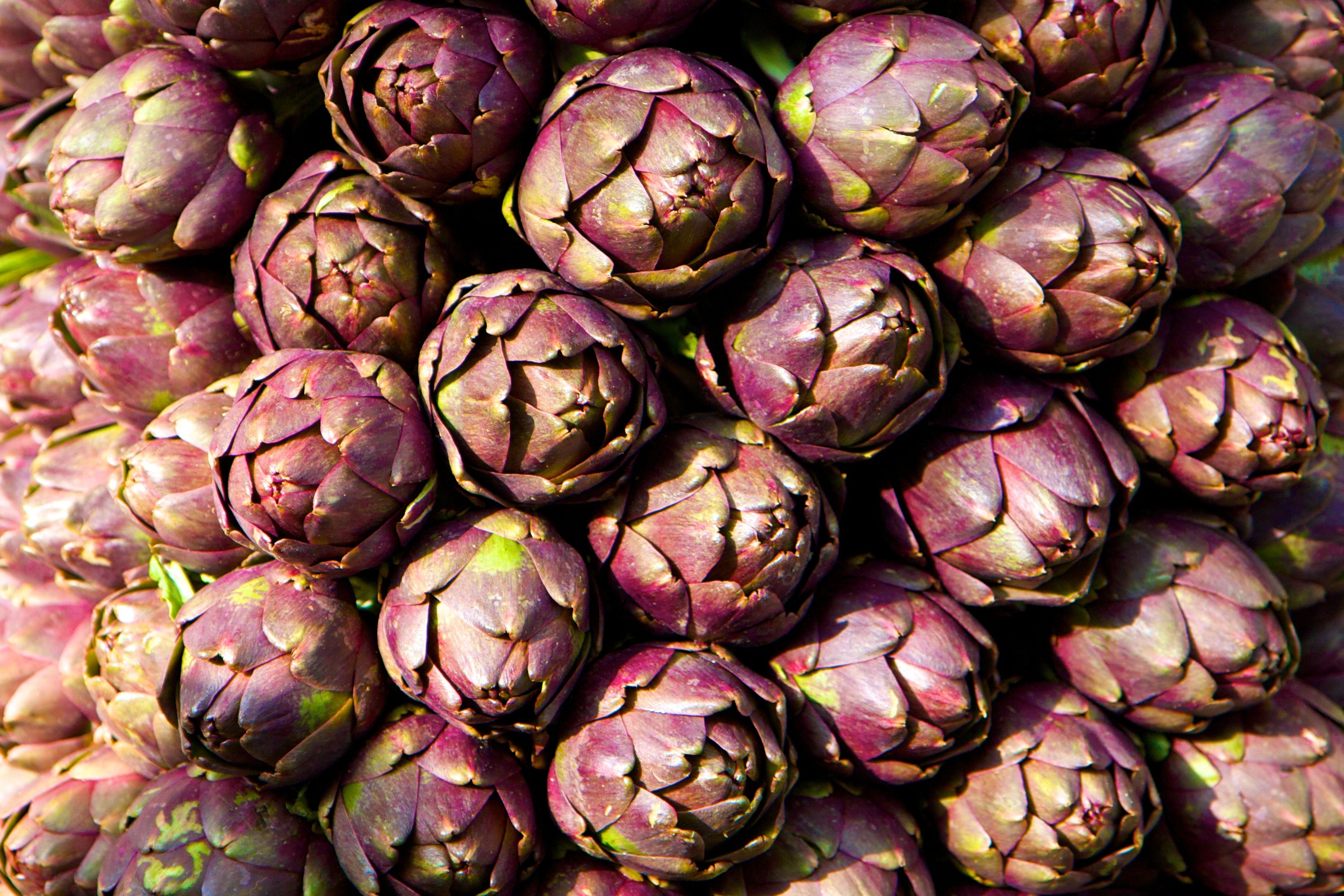 Artichokes.jpg