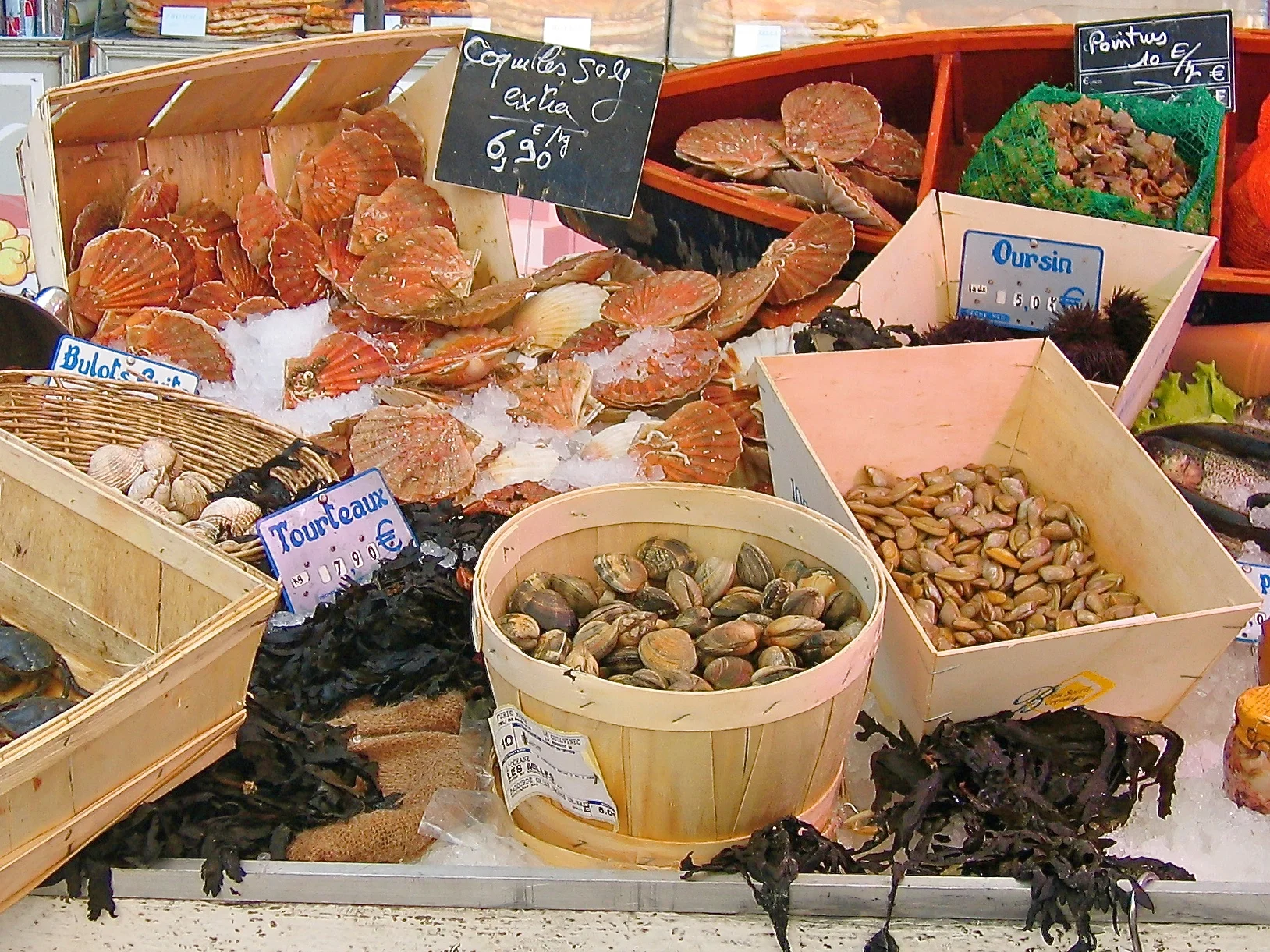 IMG_3746 - Version 2.jpg