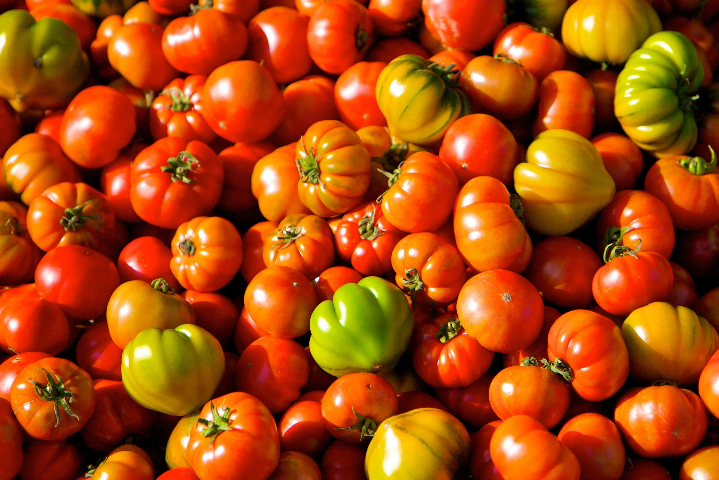Market Tomatoes.jpg