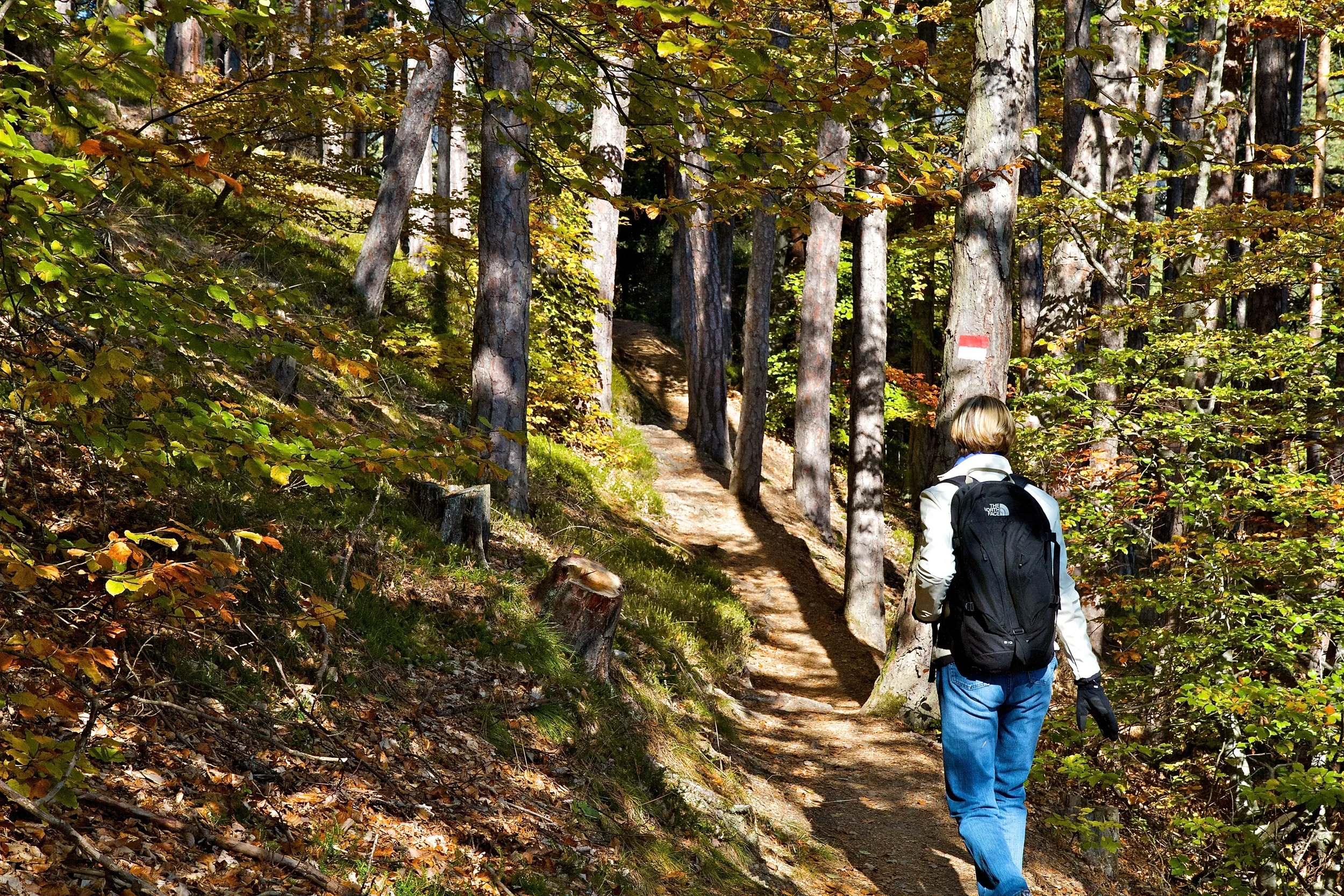 HIking (1).jpg
