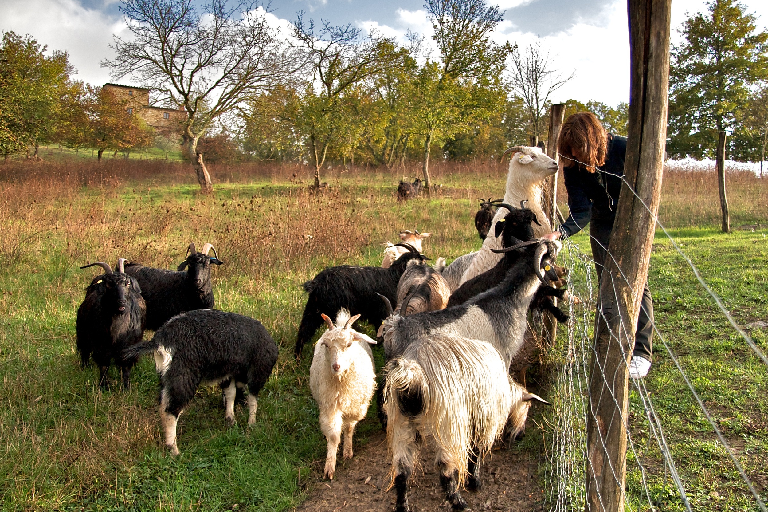 A Visit to Chianti Cashmere