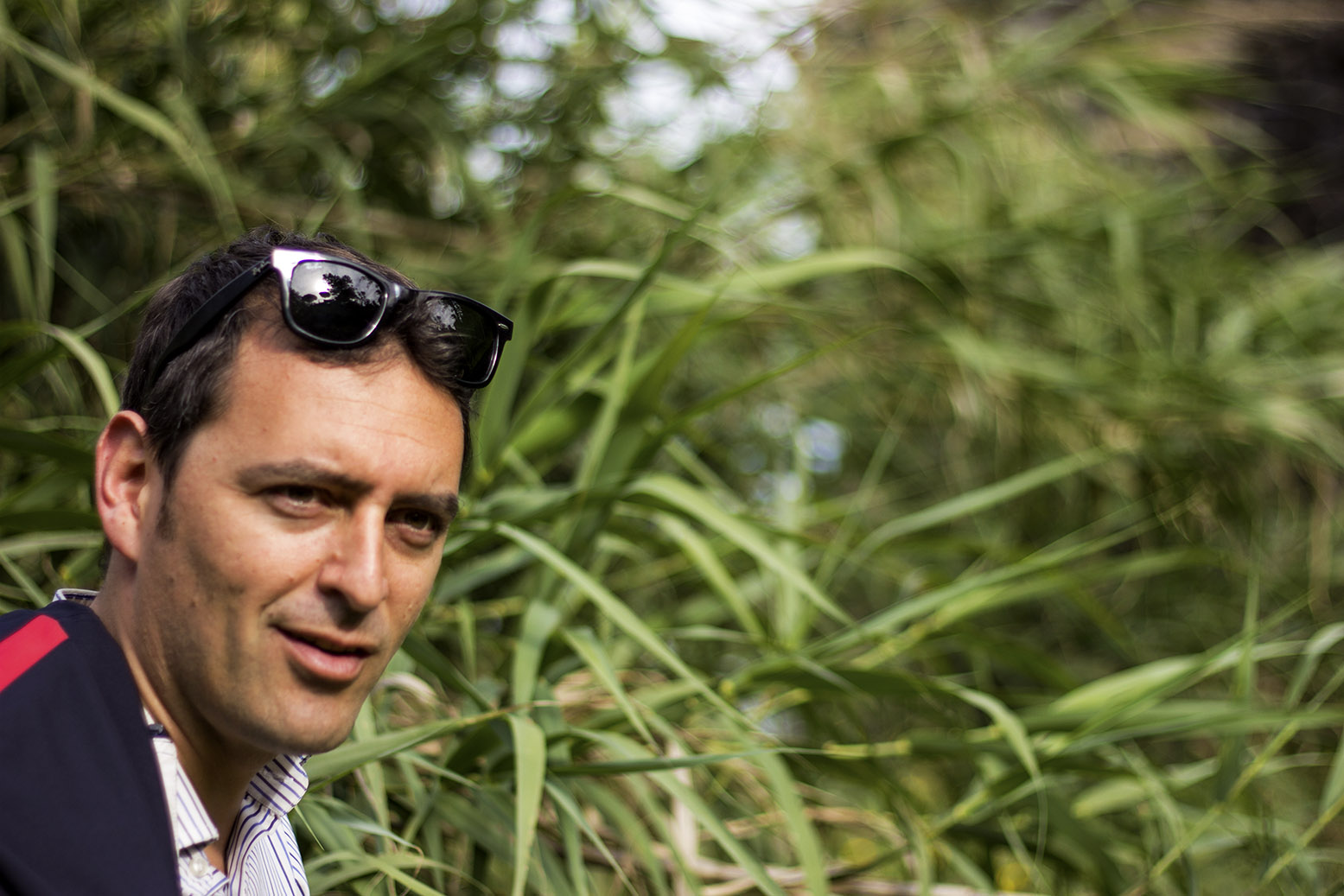 Dario Della Vecchia