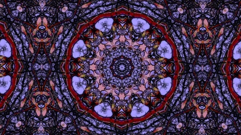 enchanted_clip_1.jpg