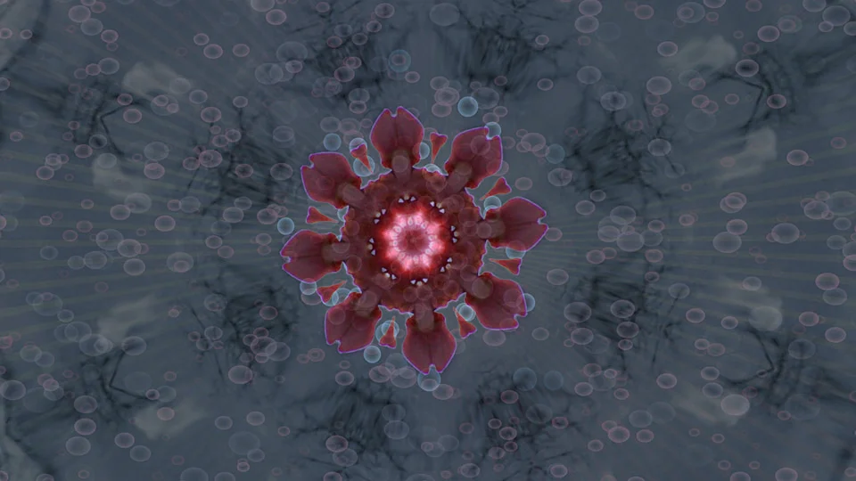 FSM_CLIP_2_preview.jpg