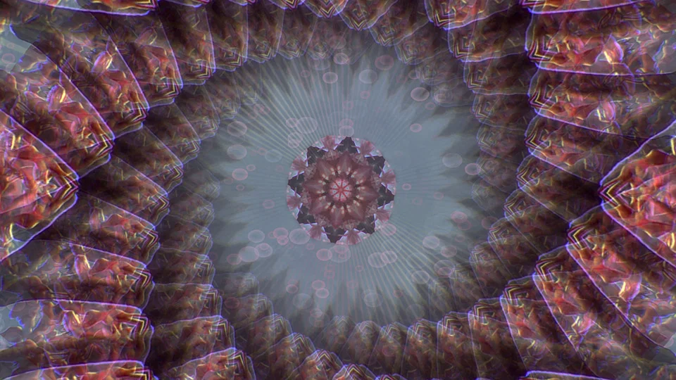 FSM_CLIP_4_preview.jpg