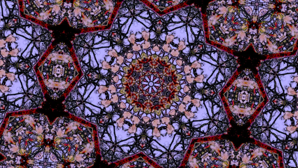 ENCHANTED_clip_2.jpg