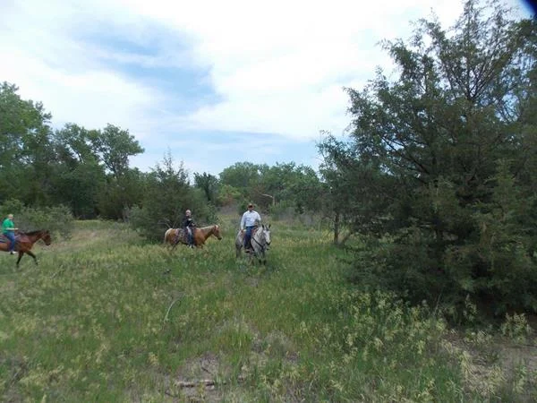 DSCN0662.jpg