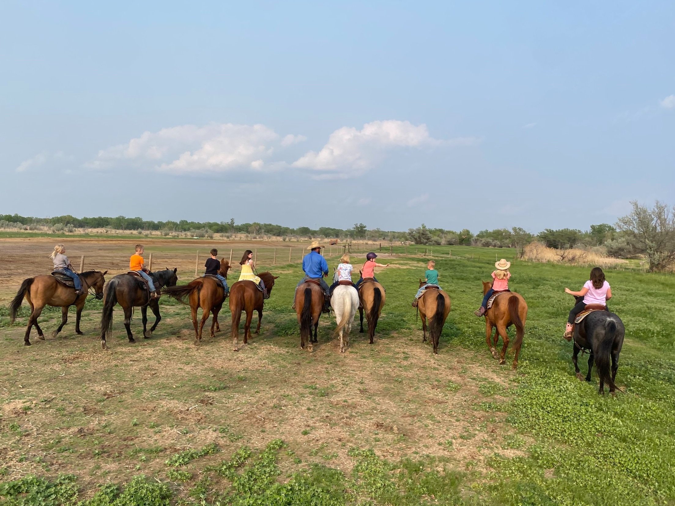 Basic Horsemanship Camp 1