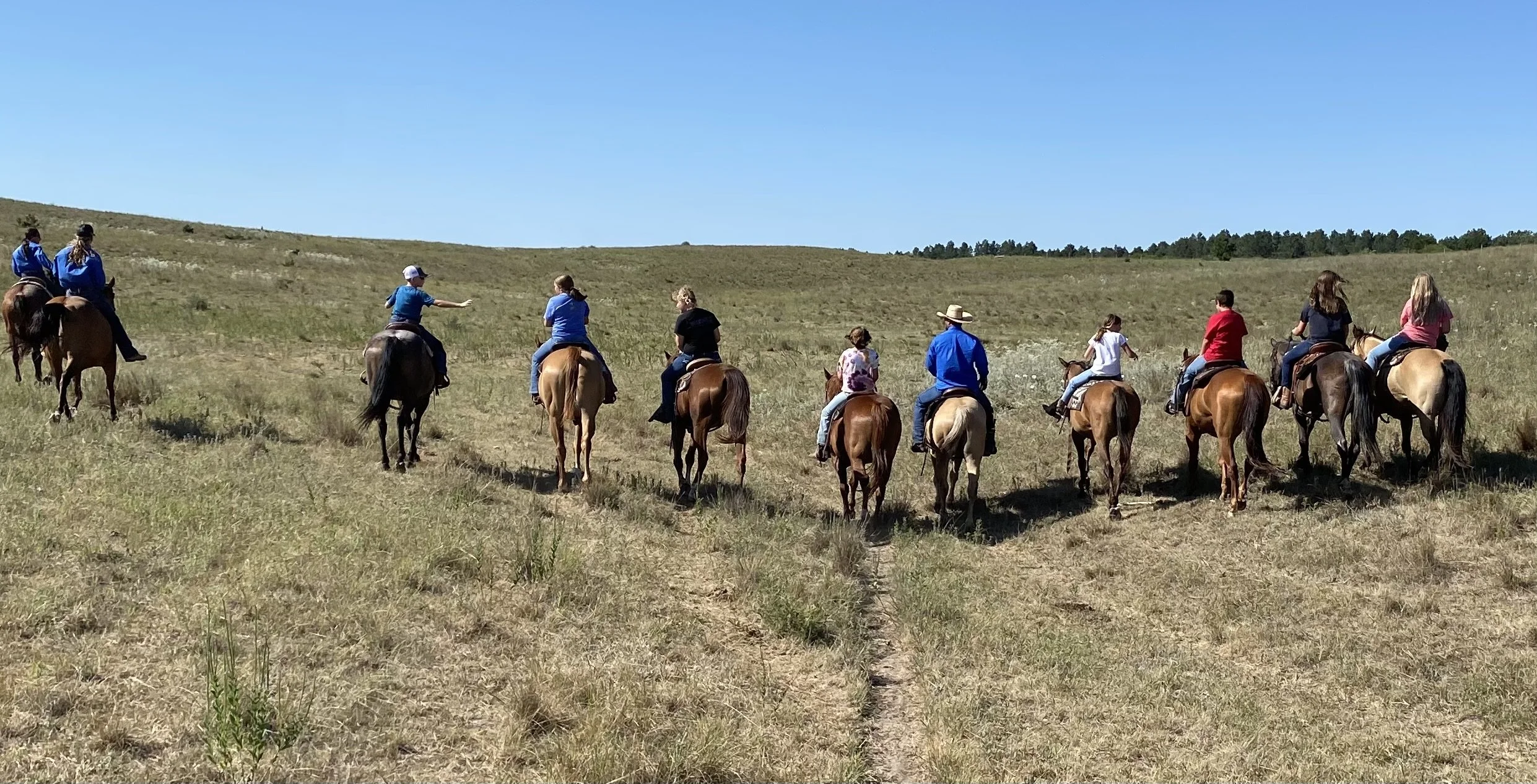 Intermediate Horsemanship Camp 1 & 2