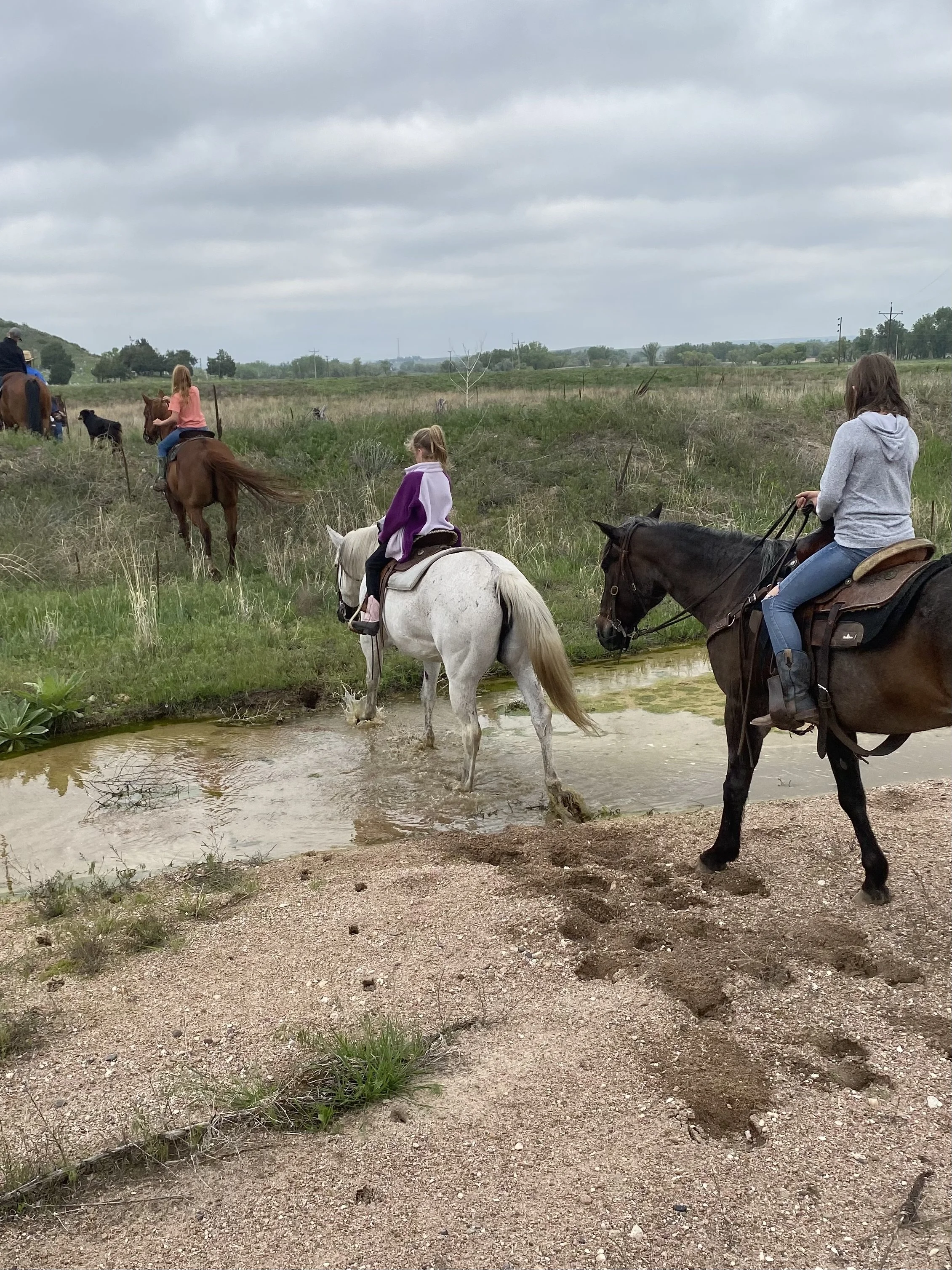 Ash Hollow creek crossing.jpg