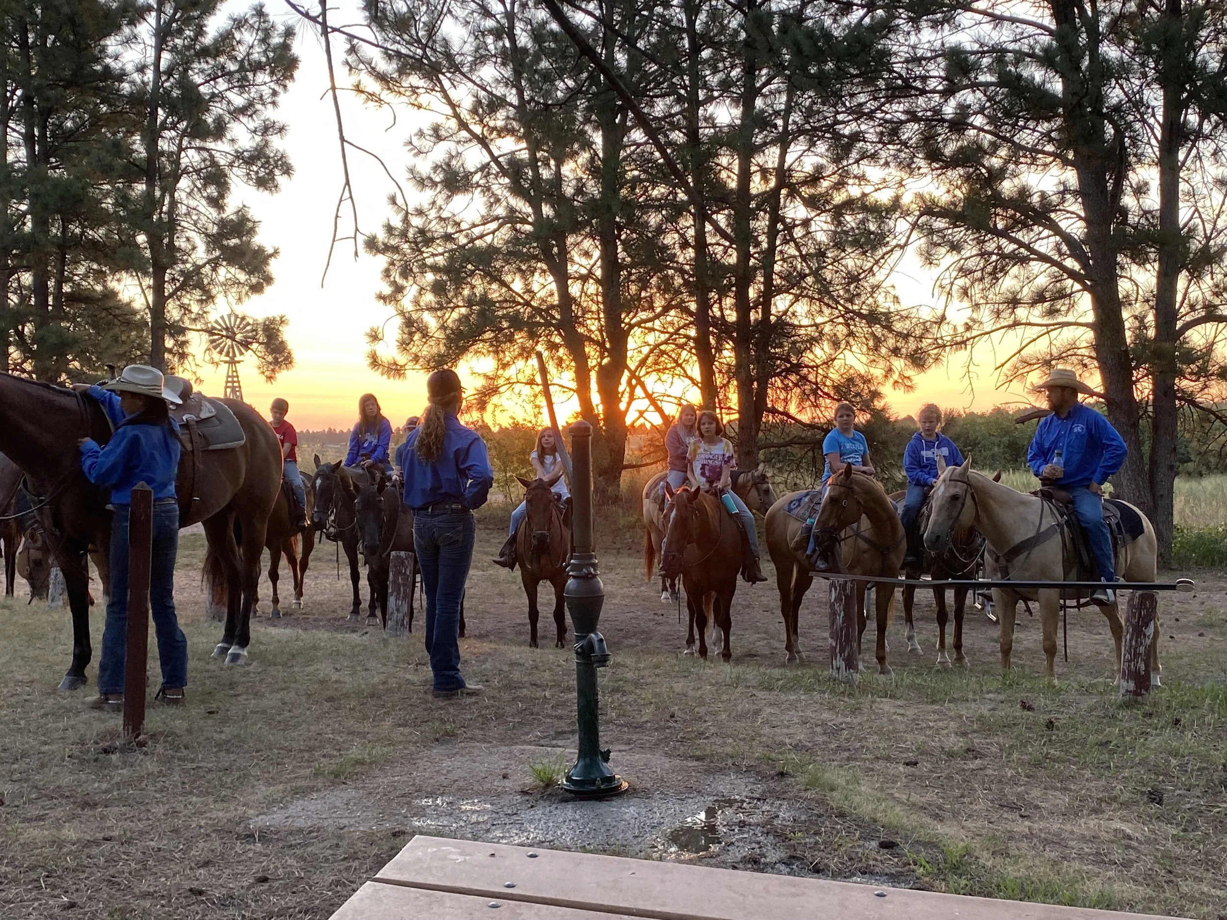 horses at Natick campground.jpg