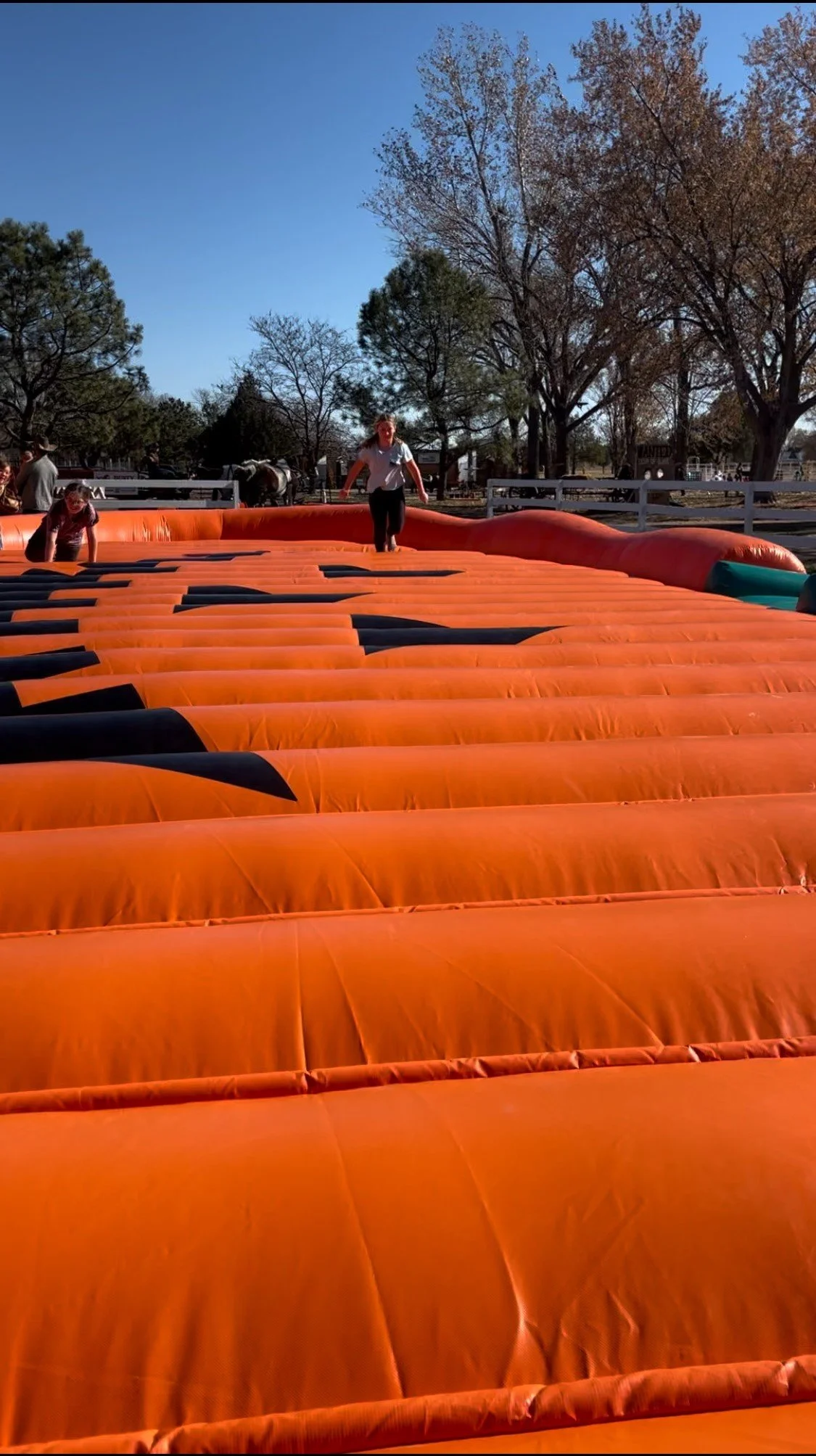 Bounce pad close up.jpeg