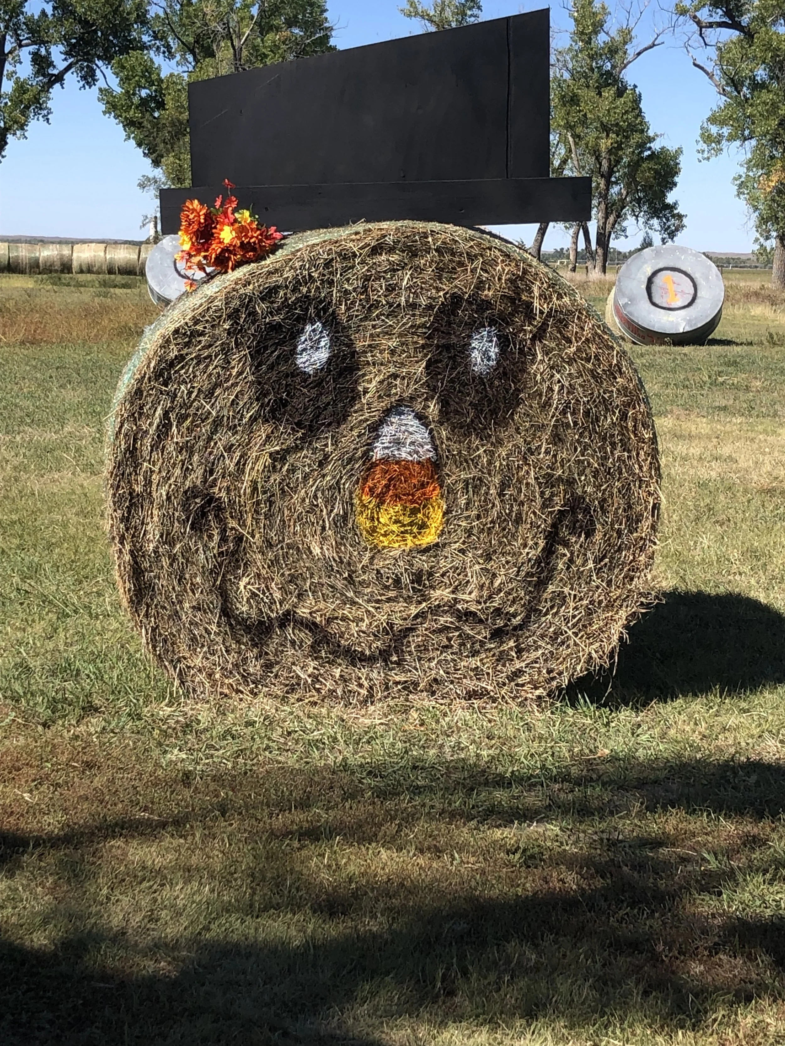 haybale scarecrow.jpg