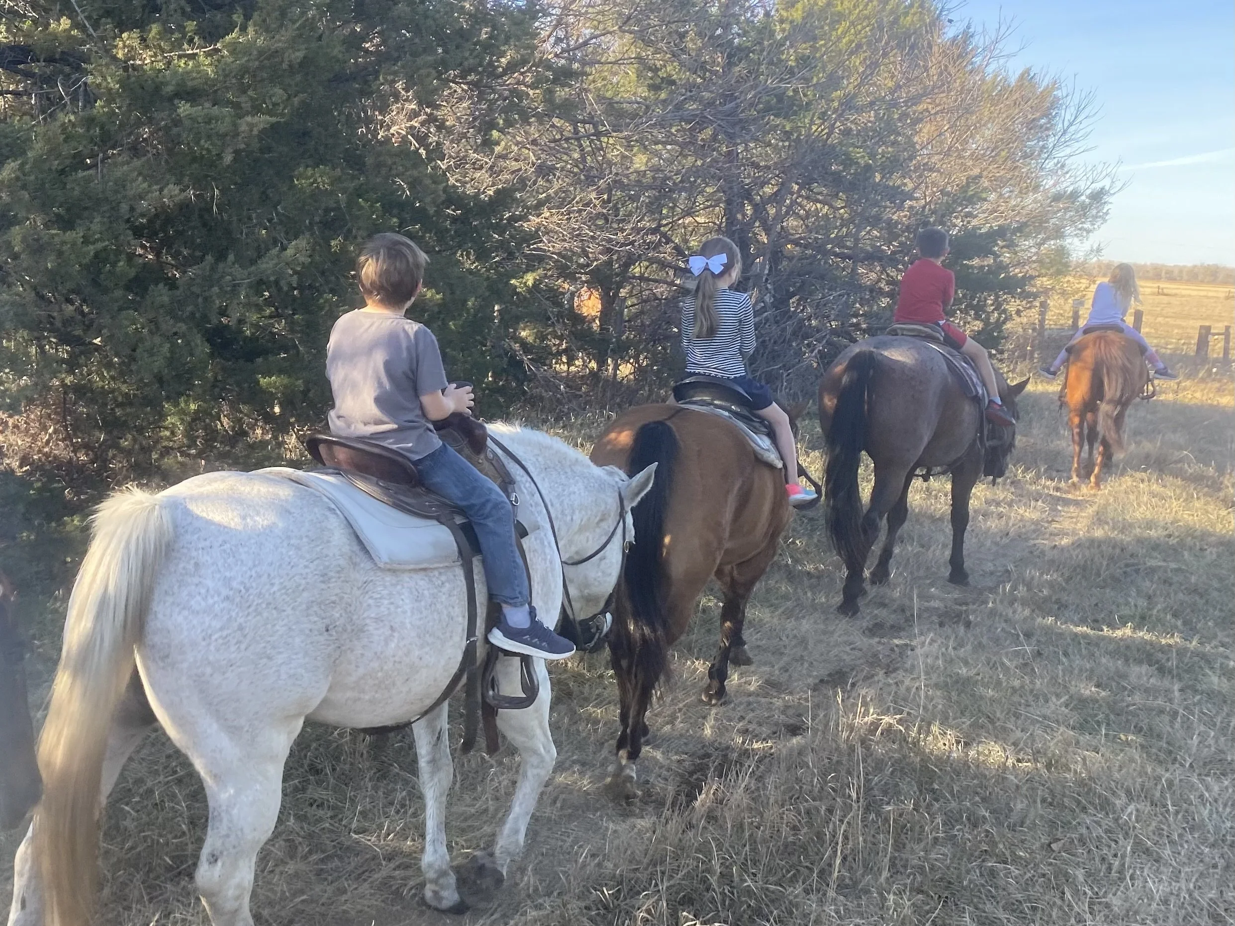 patch rides 2.jpg