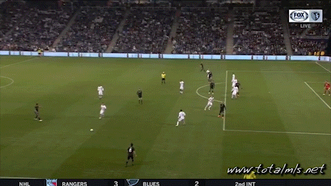 ZusiGoal.gif