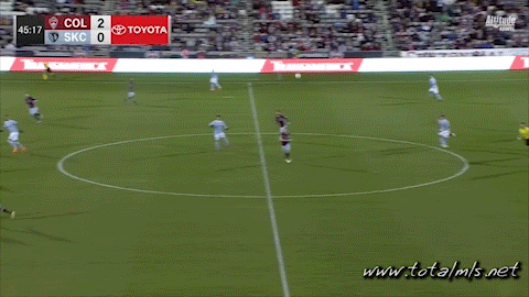 SheltonXG.gif