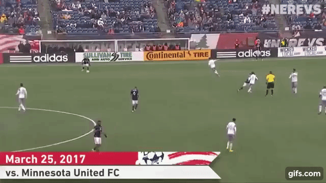 gif__1_.gif