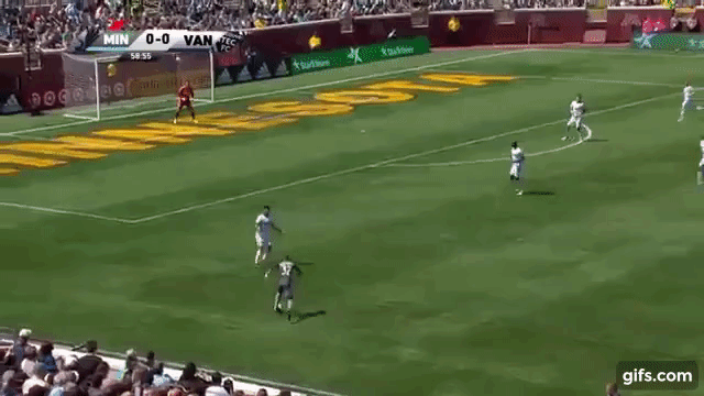 marinovic.gif