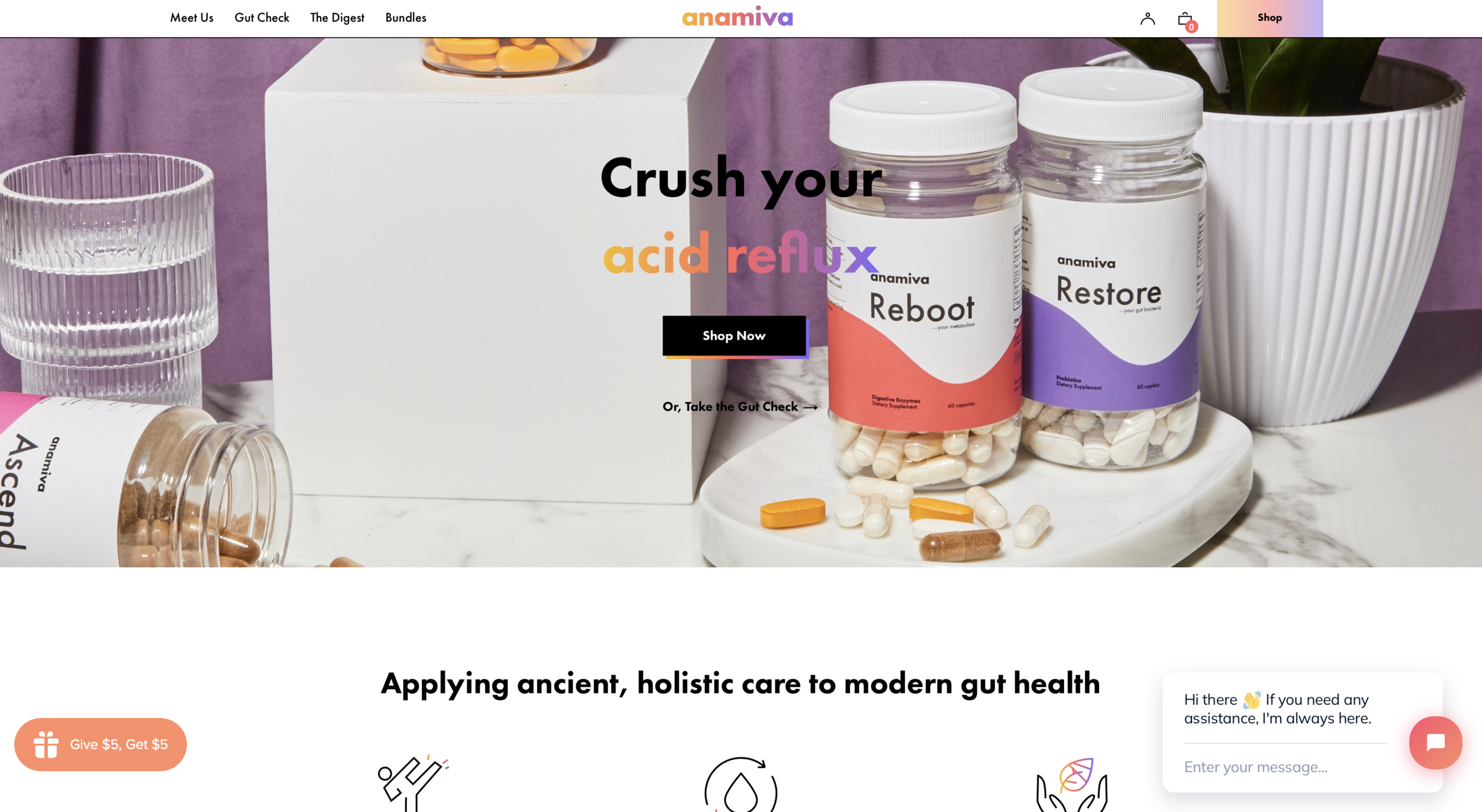 Anamiva Landing Page