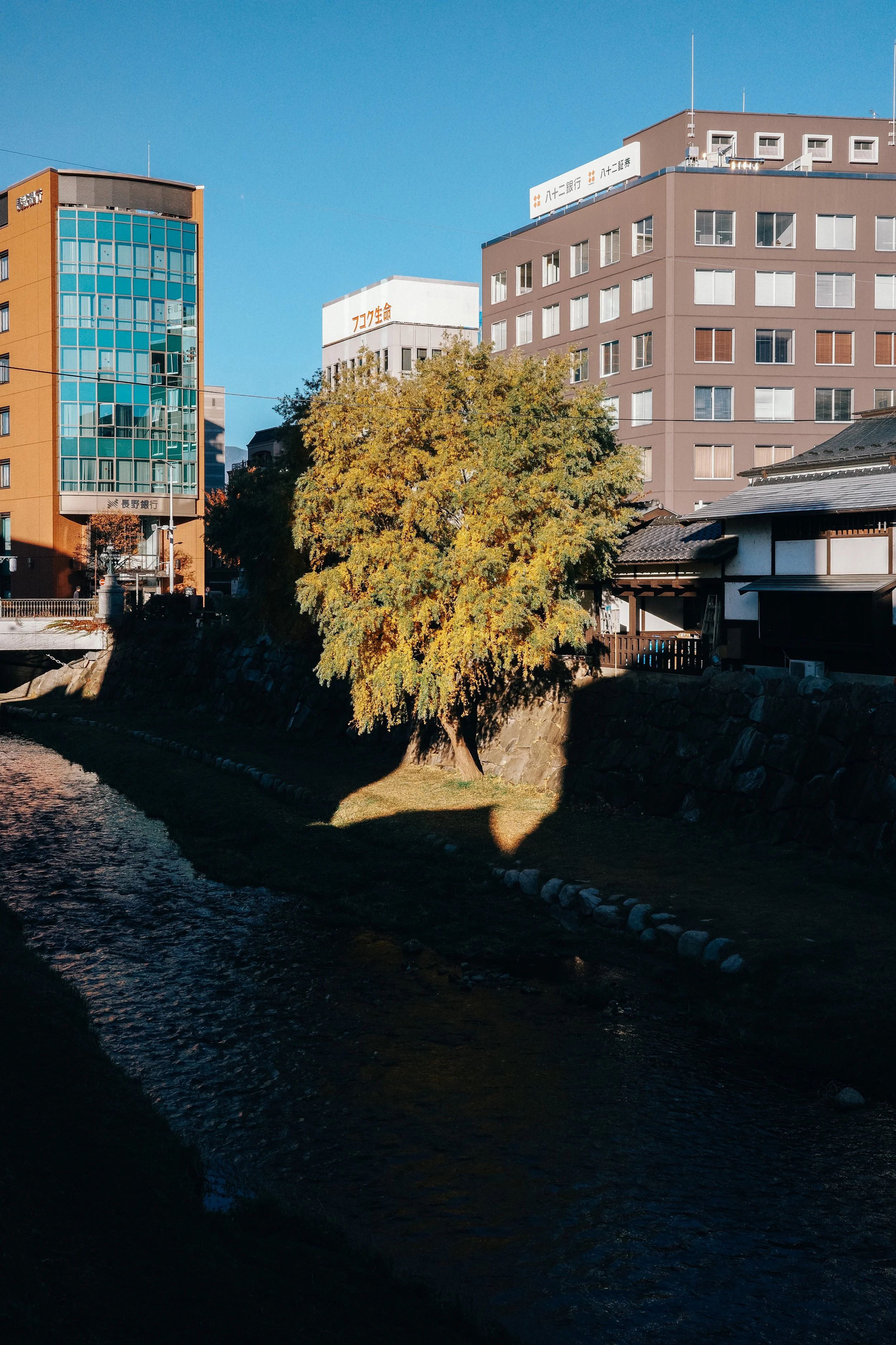R0001778 2.jpg