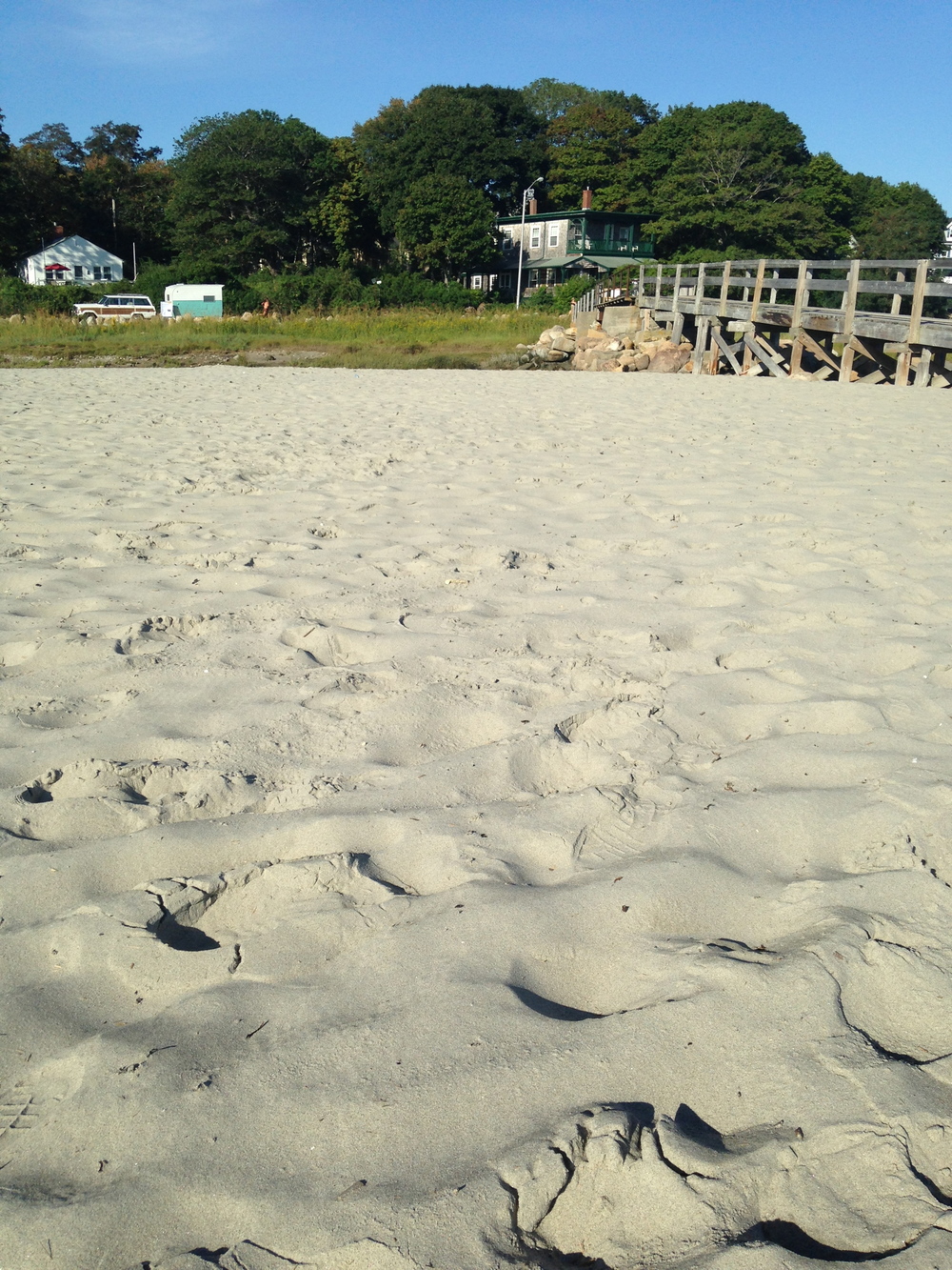  Spot the MMoAA on Good Harbor Beach 