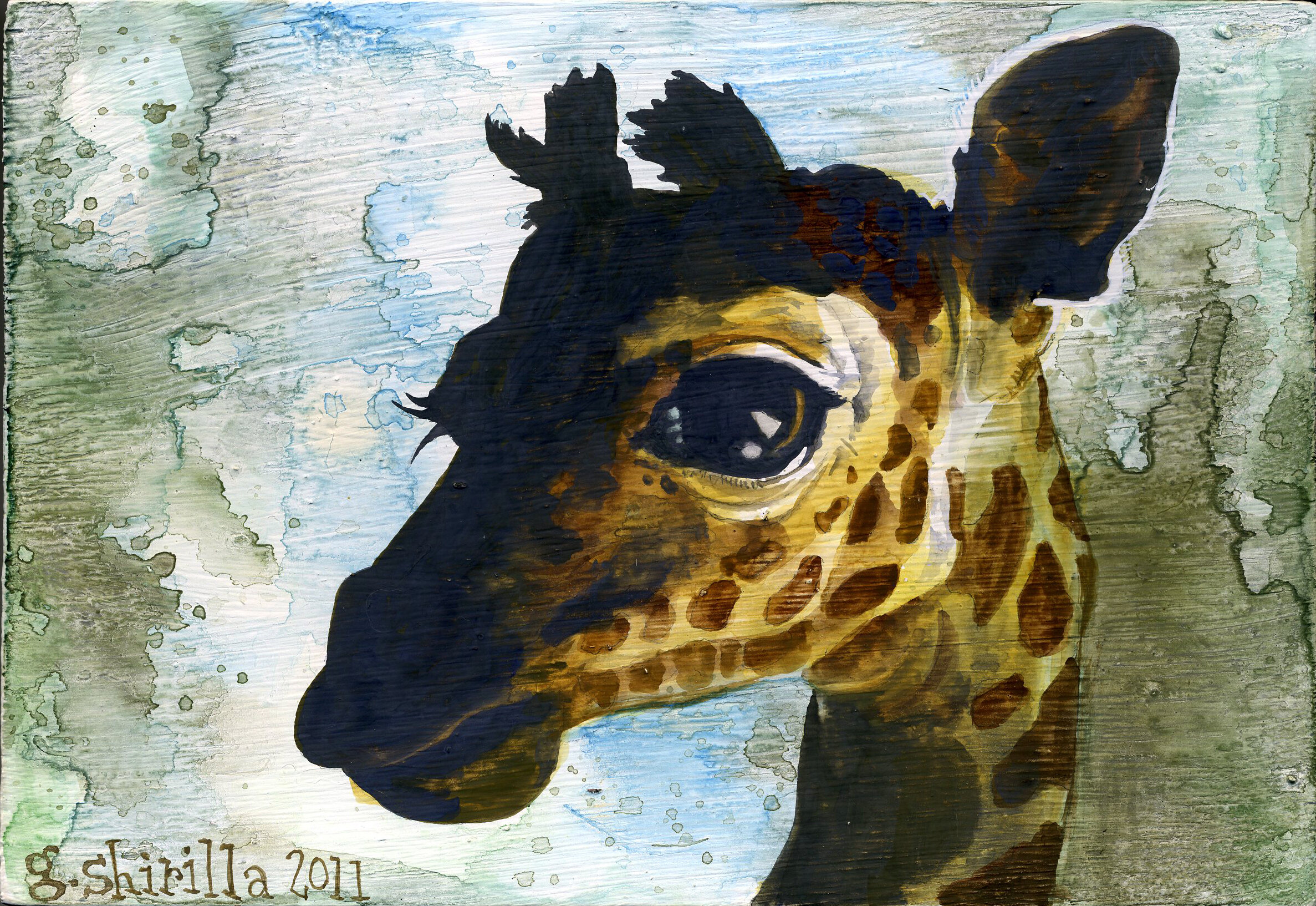 "A Baby Giraffe" 2011
