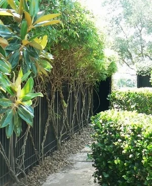 Landscape Update Co Landscape Install Houston (25).jpg