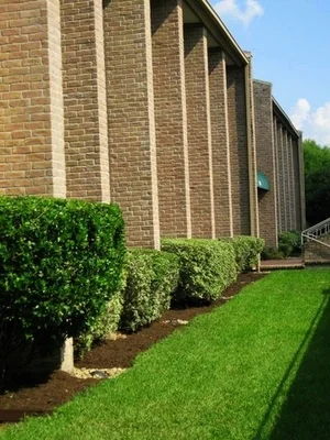 Landscape Update Co Landscape Install Houston (54).jpg
