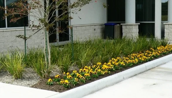 Landscape Update Co Landscape Install Houston (27).jpg