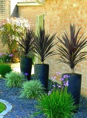 Landscape Update Co Landscape Install Houston (5).jpg