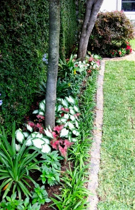 Landscape Update Co Landscape Install Houston (21).jpg