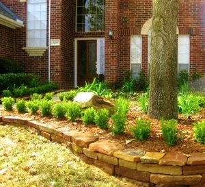 Landscape Update Co Landscape Install Houston (14).jpg