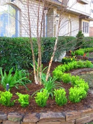 Landscape Update Co Landscape Install Houston (51).jpg