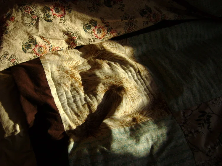 Morning Light