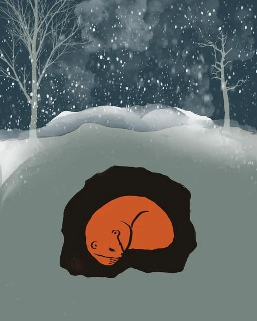 hibernate.jpeg