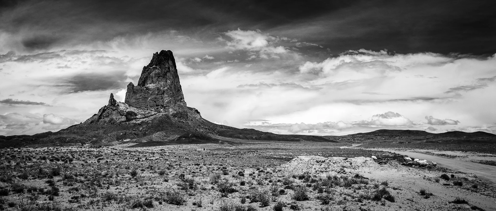 New Mexico