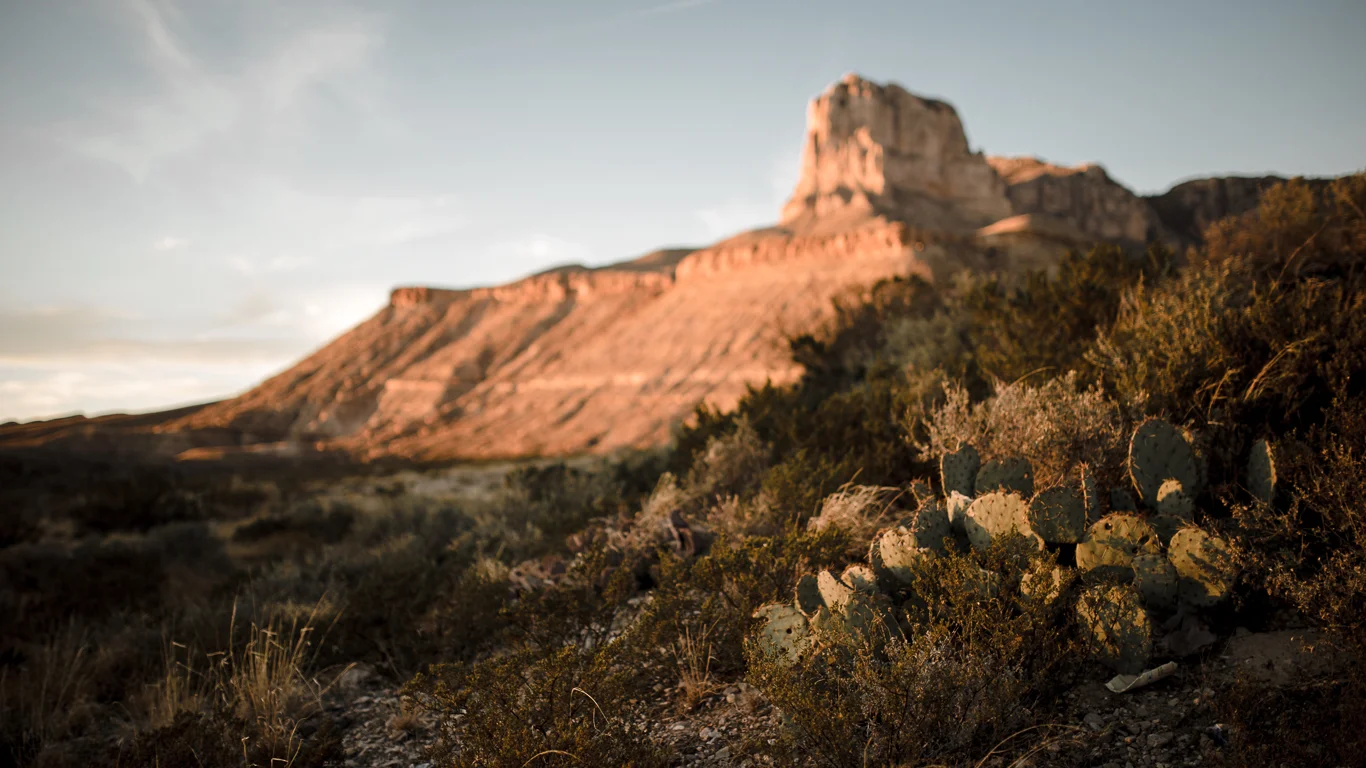 El Capitan - TX