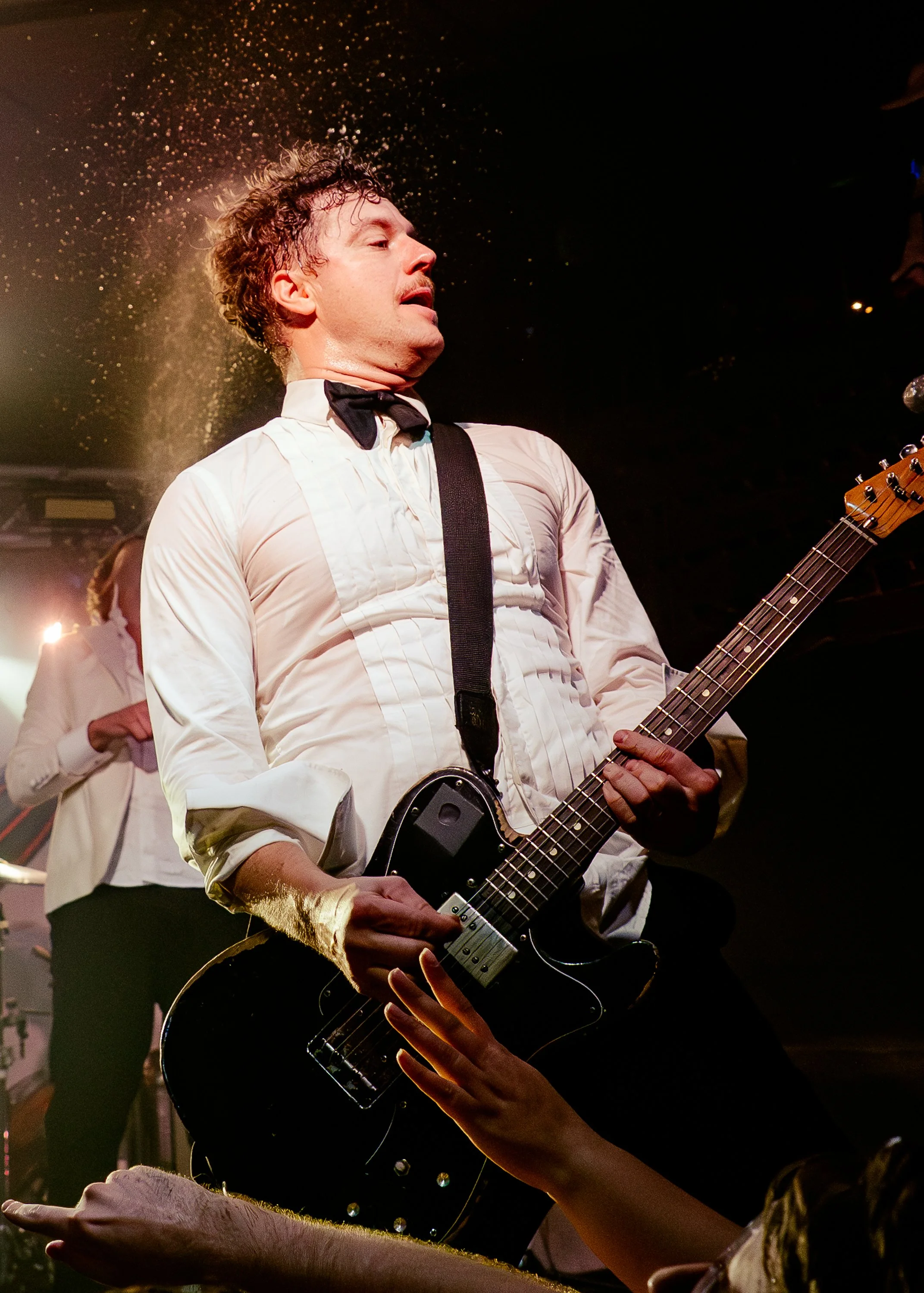 The Hives (Copy)