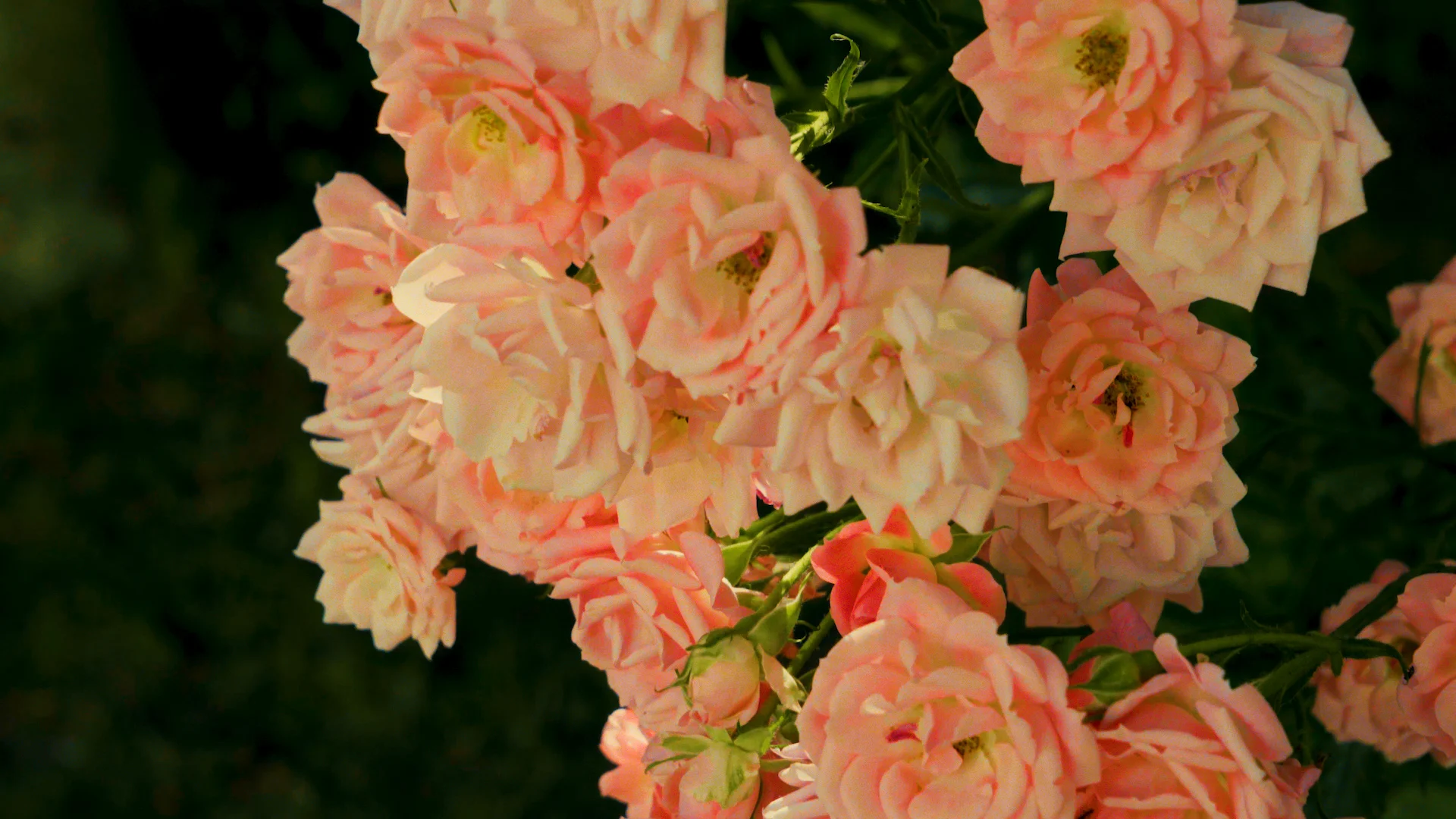 D musuem 햇살 1 복사 01.00_00_54_08.스틸097.jpg