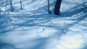  Filmed in South Korea  Location /  Seonjaryeong, Daedun, Seorak, Huiri Mountains  Some Beaches in Donghae, Seohae sea  Seocheon-gun Scenery 